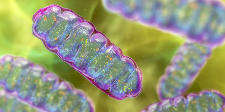 The place did all these advanced intracellular buildings come from?